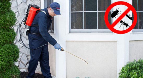 Avcılar Böcek ve Haşere İlaçlama böcek ilaçlama ve haşere kontrolü — ilaclama-tr.com